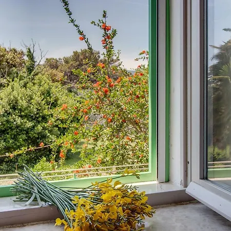 15th Century House In Apartment Osor
